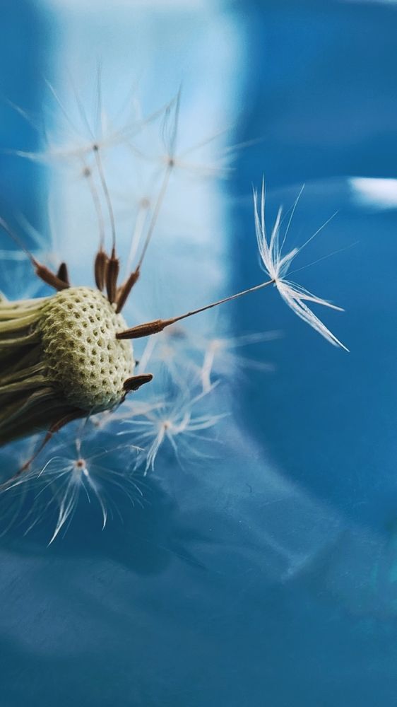 Фотография автора Анна Морозова