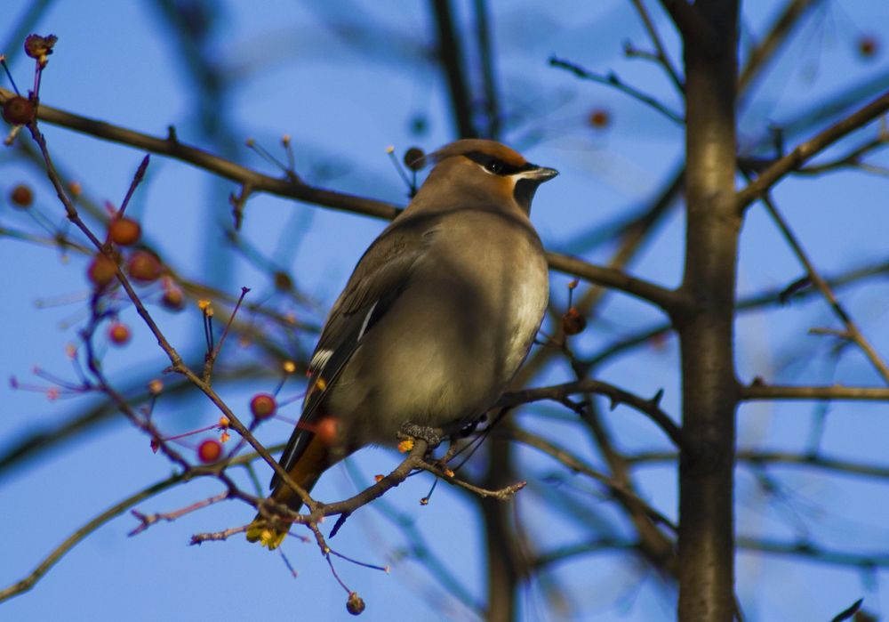 Photograph by Панюшкин Андрей