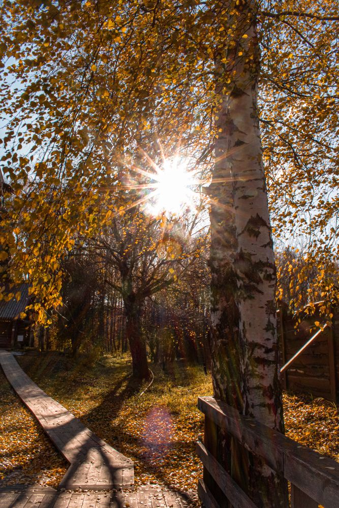 Photograph by Ольга