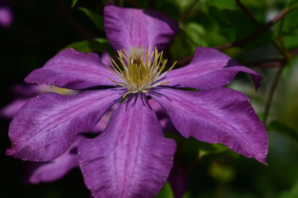 Photograph by Наталья Еременко