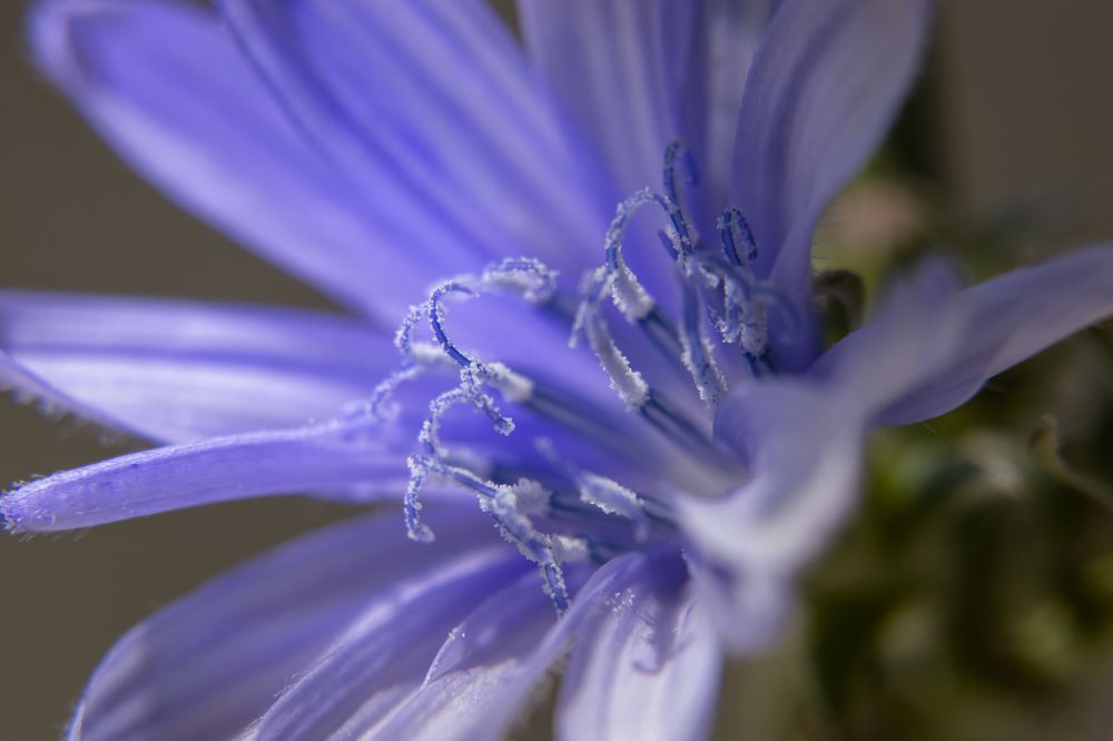 Photograph by Ирина Шибитова