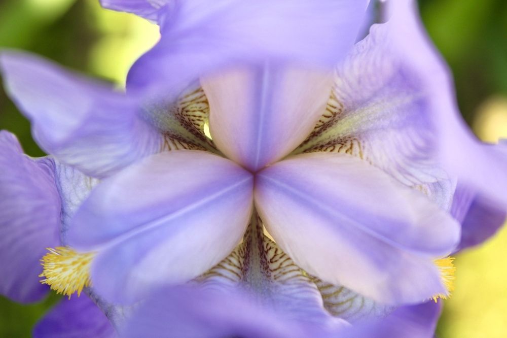 Photograph by Catalina Sirbu