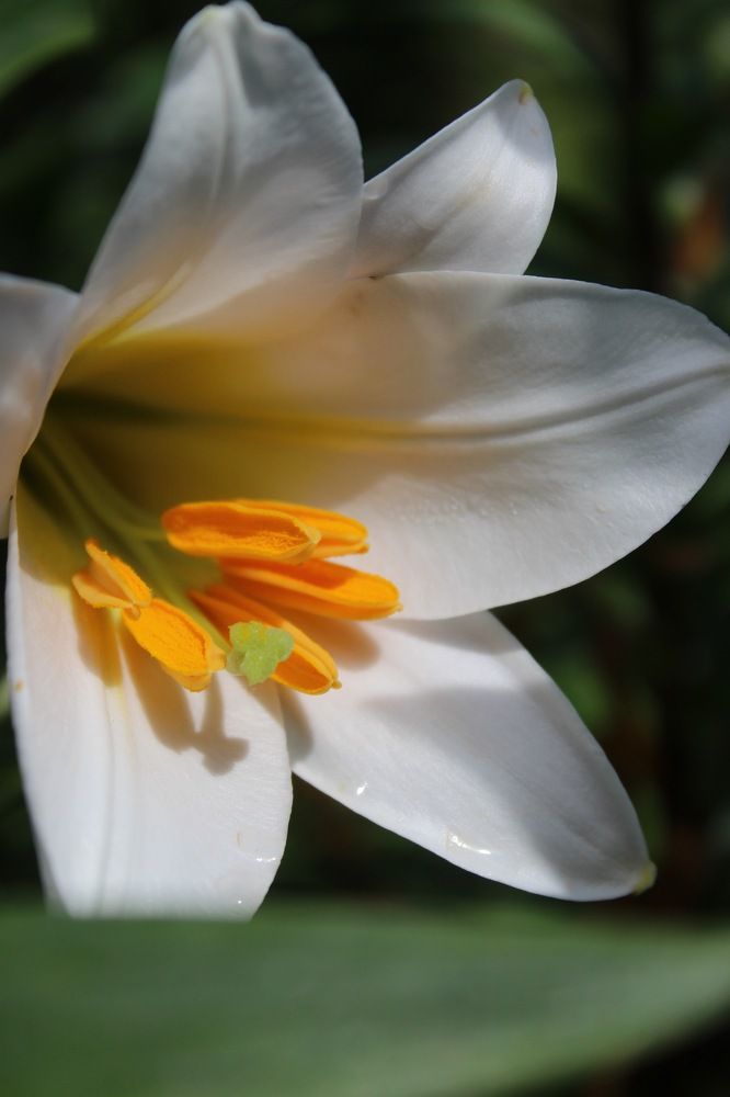 Photograph by Catalina Sirbu