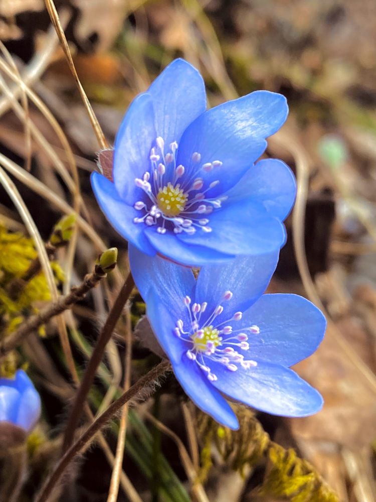 Photograph by Catalina Sirbu