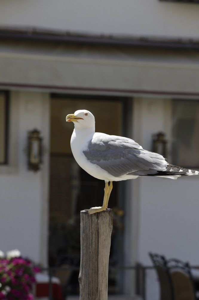 Photograph by Ольга Одаренко