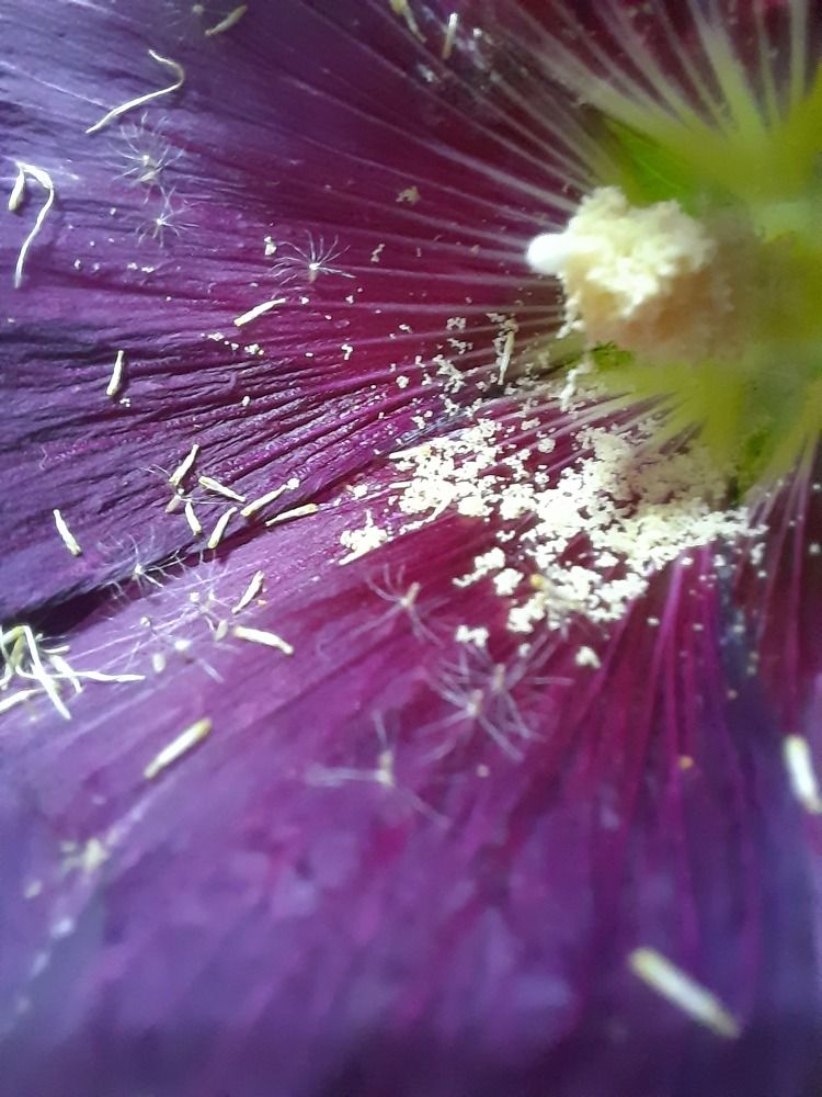 Photograph by Катерина