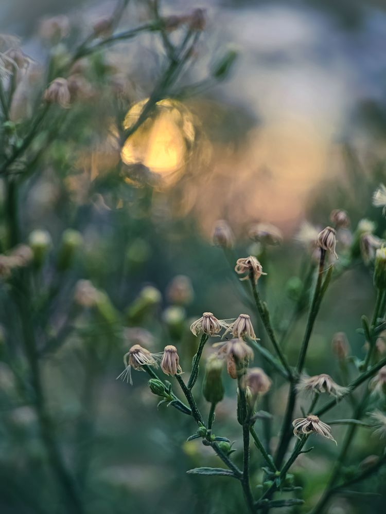 Photograph by Hannah Surji