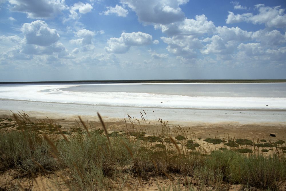 Photograph by TATIANA MASYCHEVA