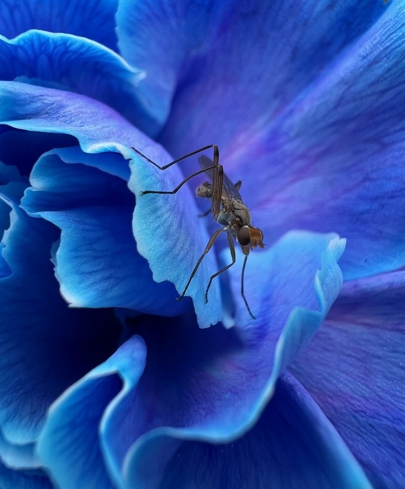 Photograph by Александра Акси