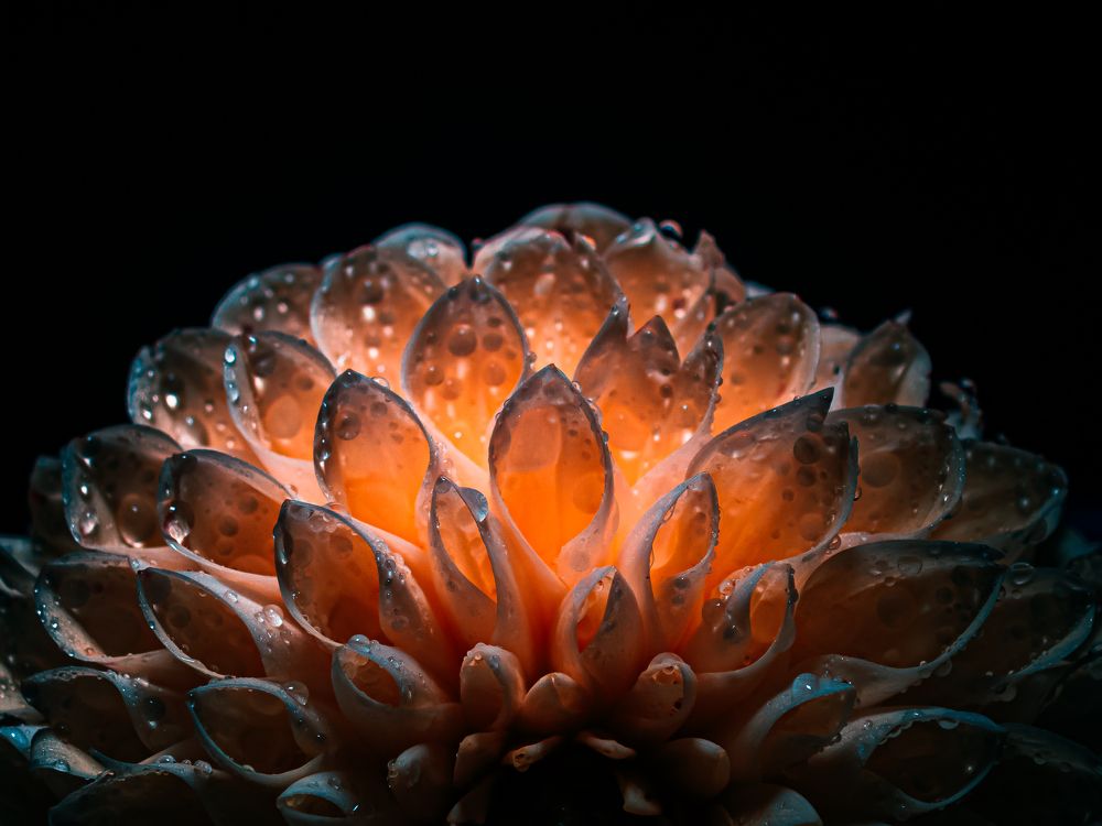 Photograph by Ярослав Старк