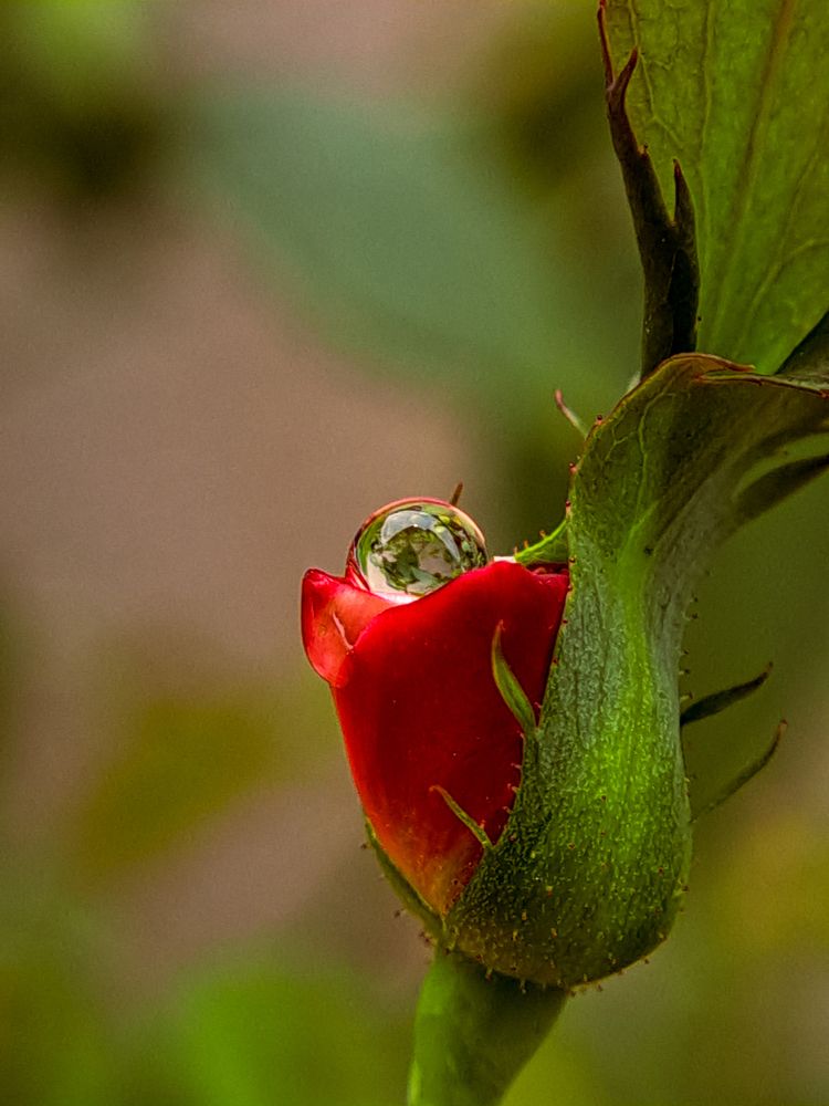 Photograph by Flávio Cavalcante