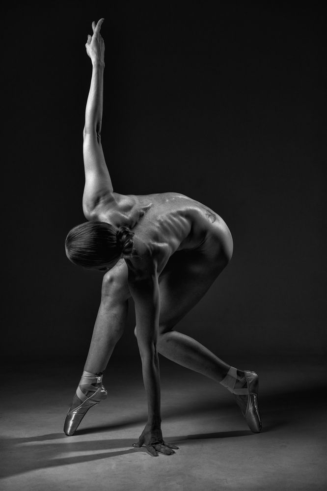 Photograph by Karpenko Denis