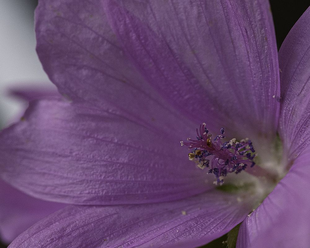 Photograph by Anna Sindikayeva