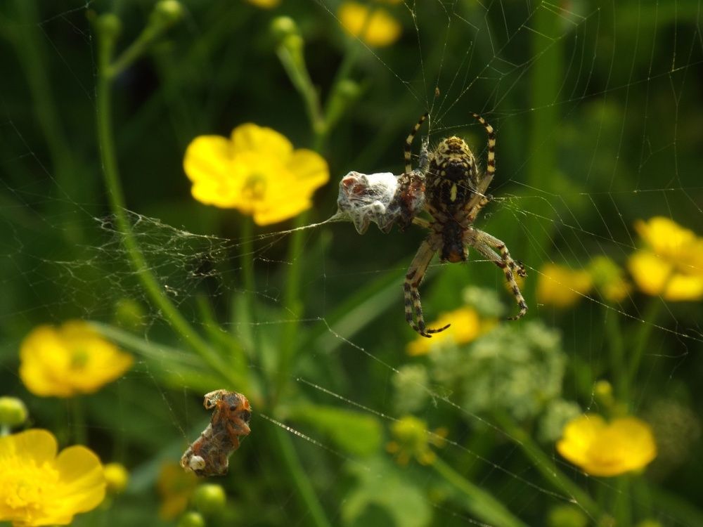 Photograph by Дарья Толстых