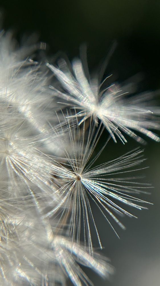 Photograph by Елена Гущина