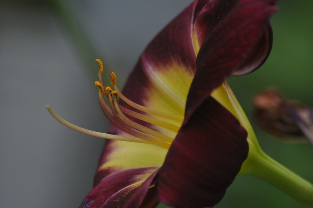 Photograph by Николай Леухин