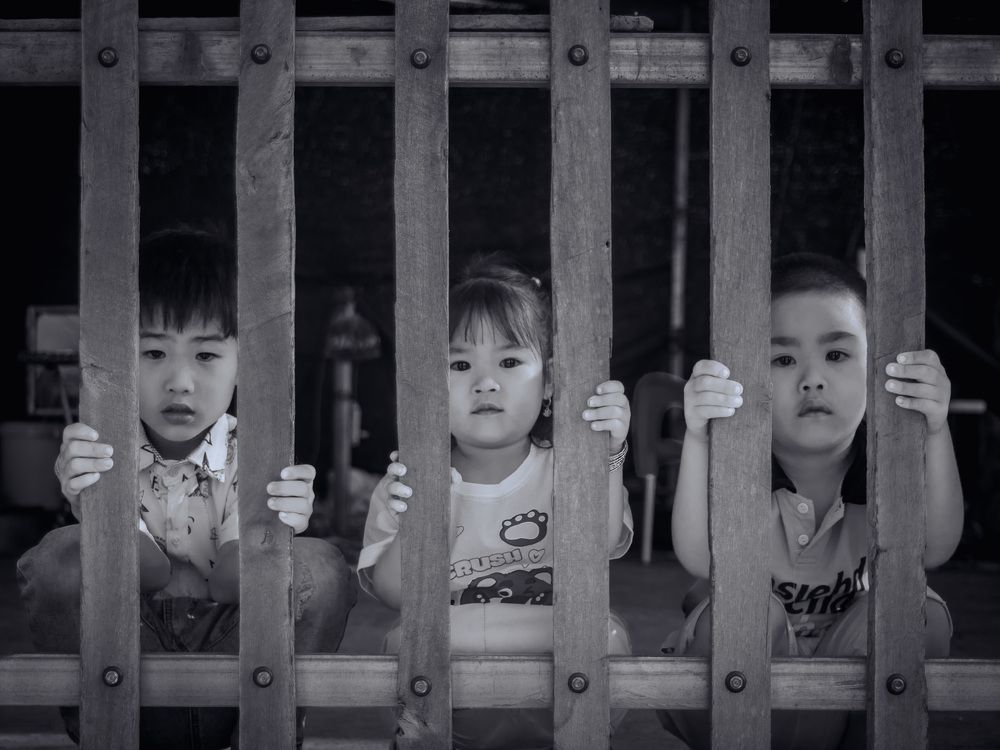 Innocent eyes behind the cage