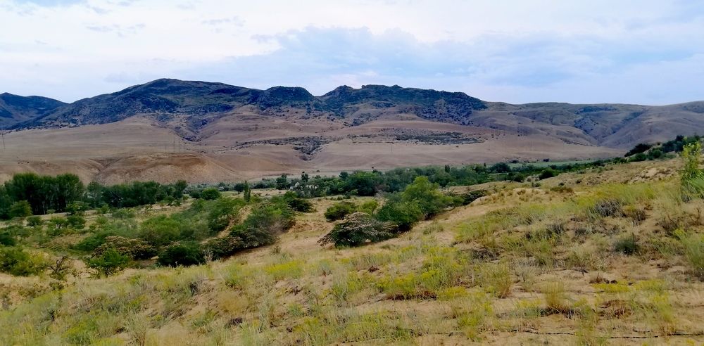 Photograph by Лариса Неудачина