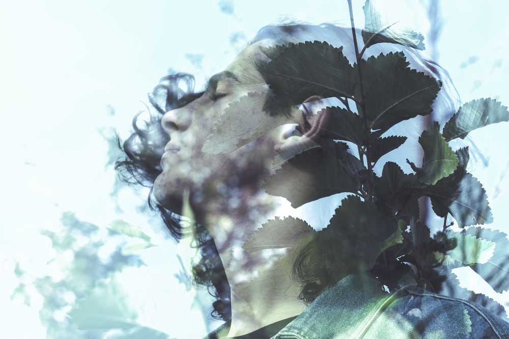 Photograph by mohammad mehdi pouroroj