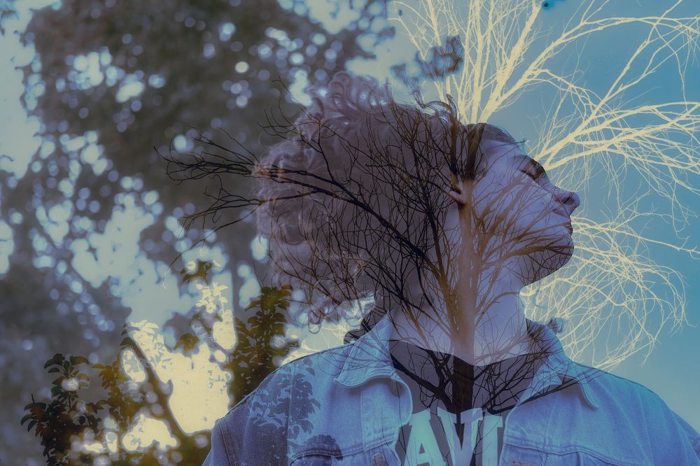 Photograph by mohammad mehdi pouroroj