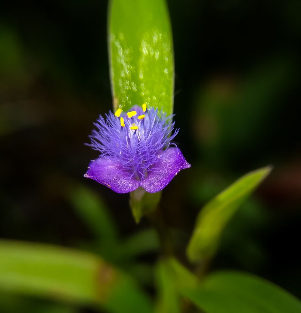 Photograph by Sachin Kamble