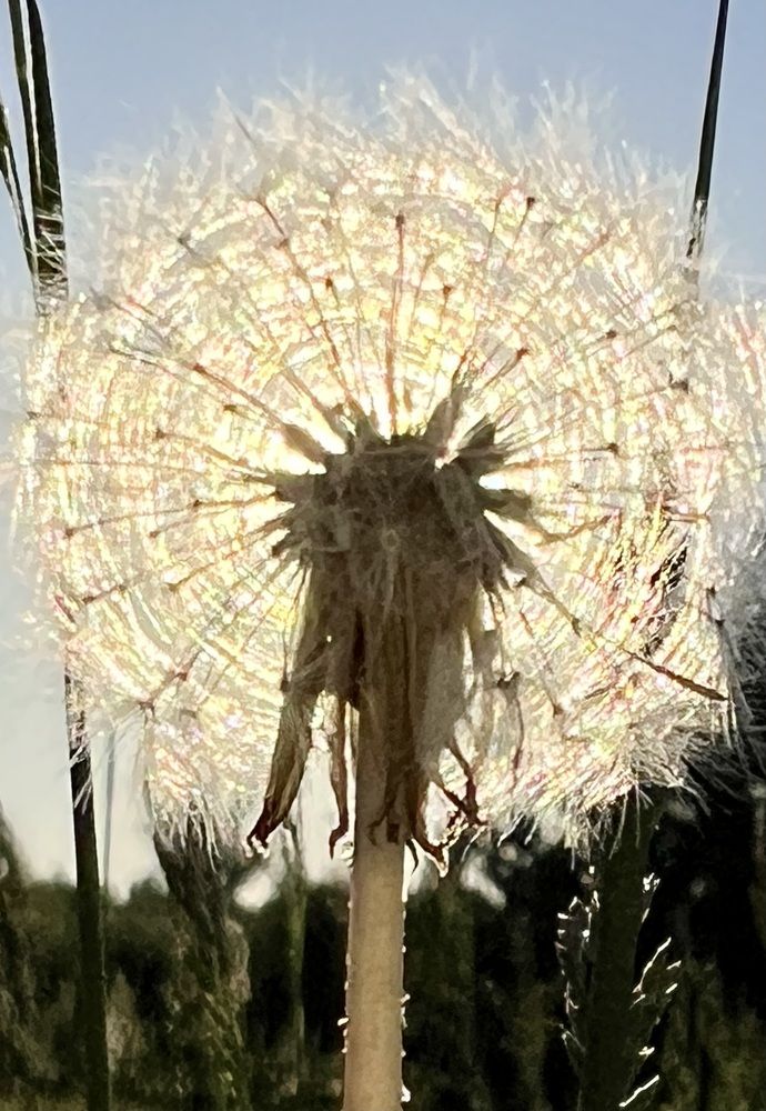 Photograph by Татьяна Михайловна