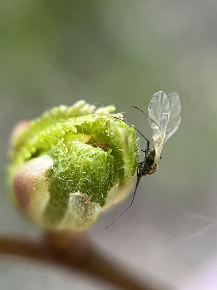 Photograph by Татьяна Михайловна