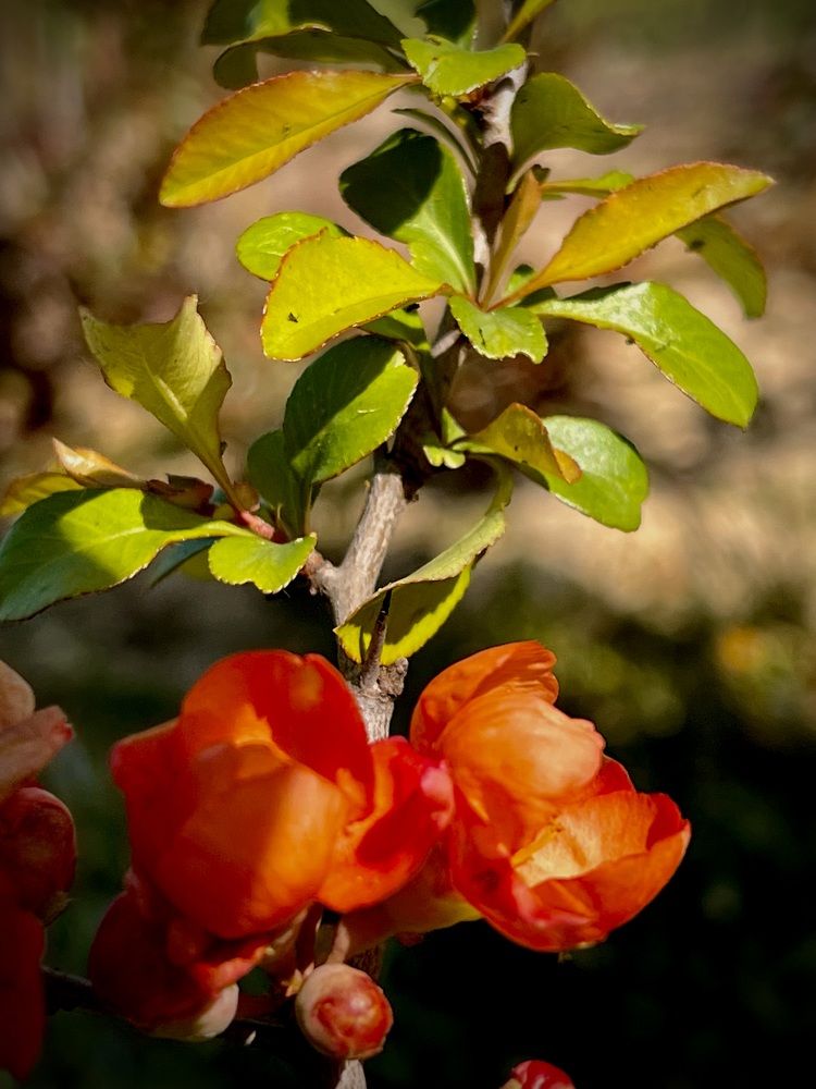 Photograph by Татьяна Михайловна