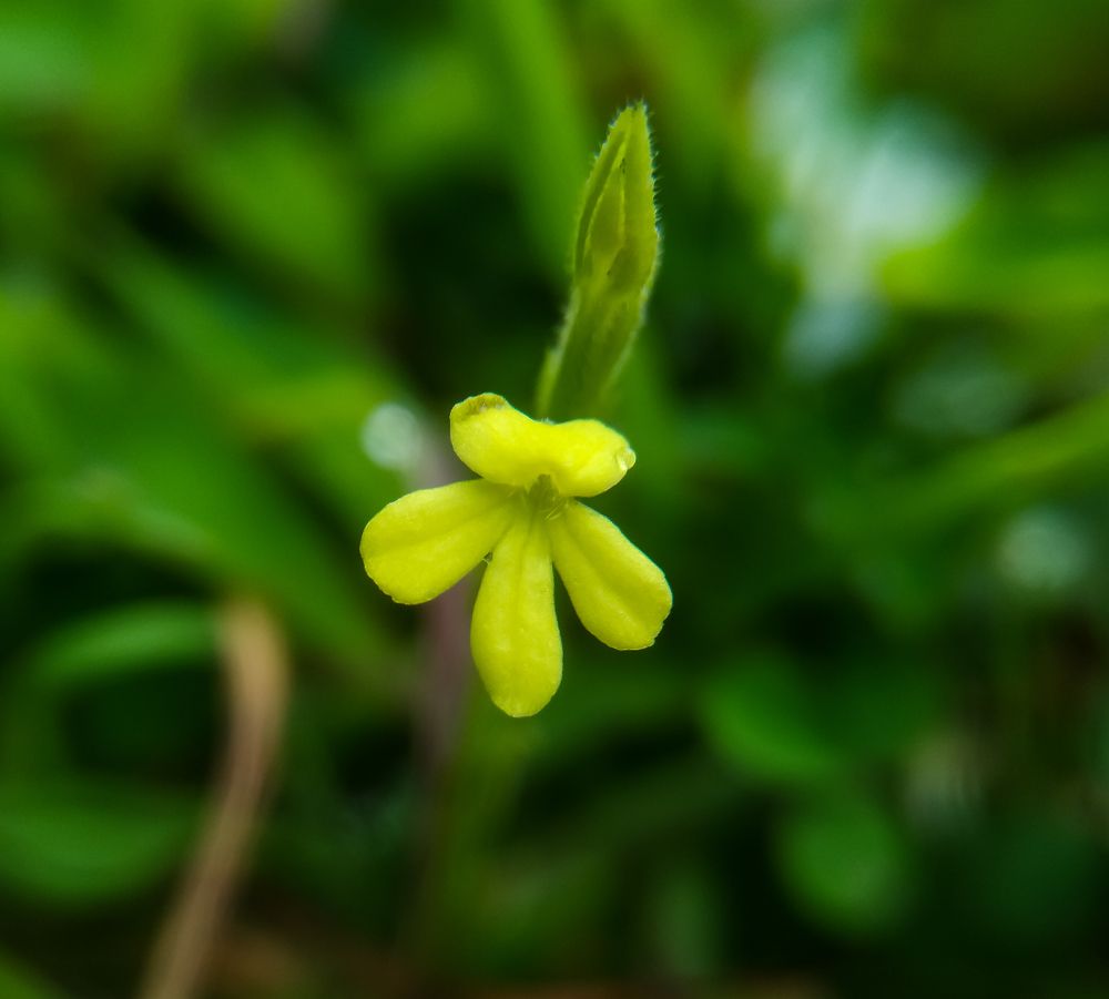 Photograph by Sachin Kamble