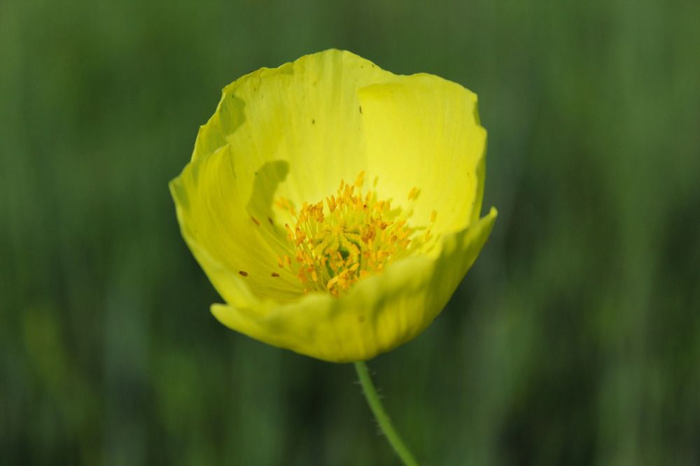 Photograph by Оксана Шарагина