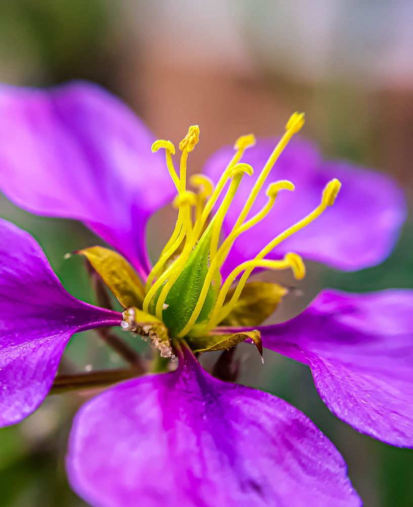 Photograph by imed ghrairi