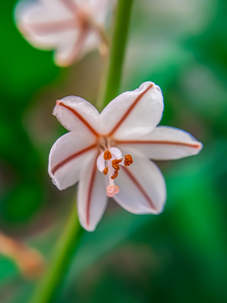 Photograph by imed ghrairi