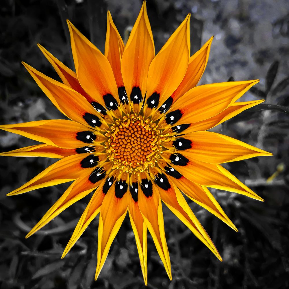 Photograph by imed ghrairi