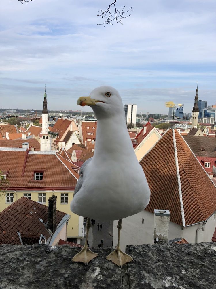 Photograph by Ирина