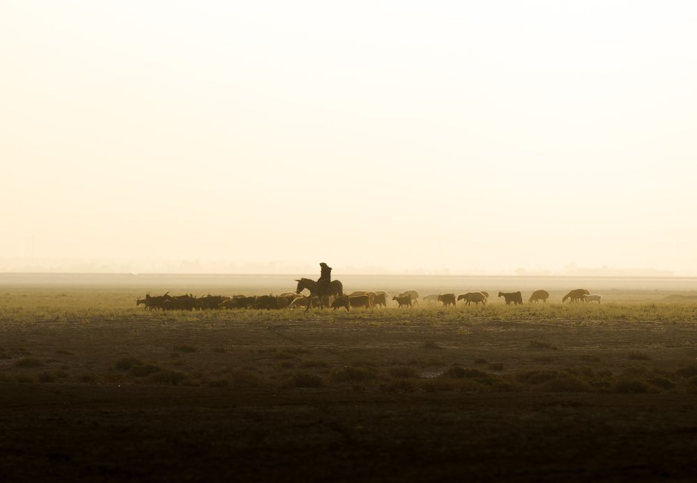 Photograph by Karen Falah