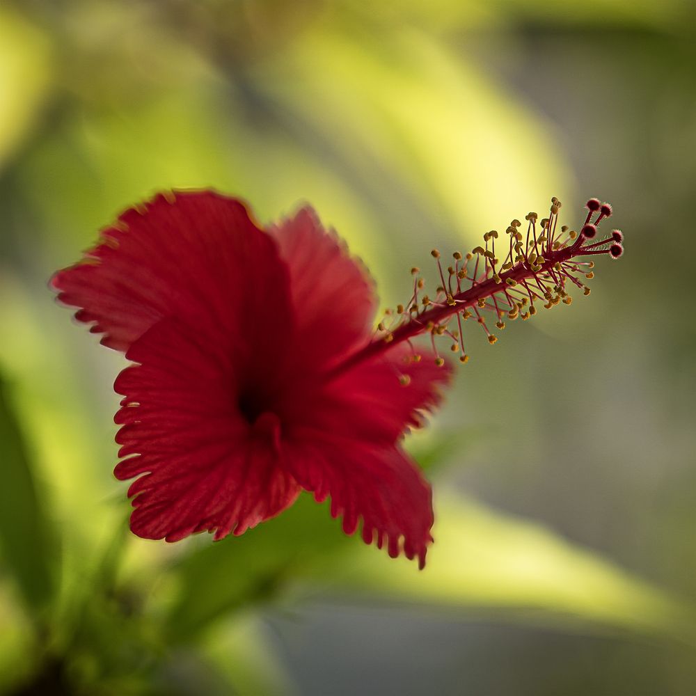 Photograph by Ирина Остапенко