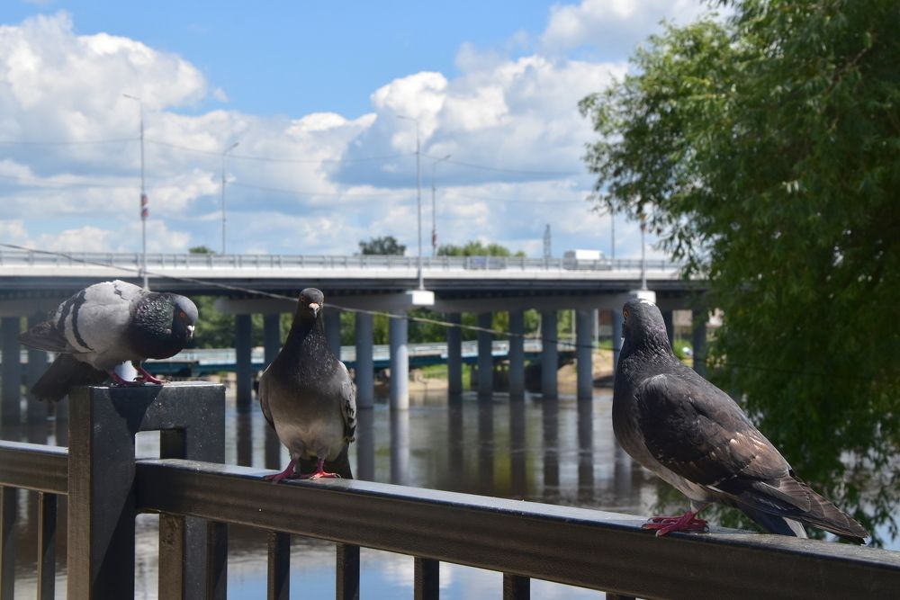 Photograph by Dimon Grinih