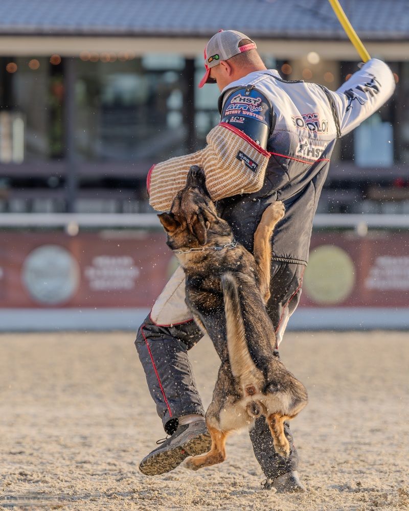 Photograph by Сергей Жиркевич