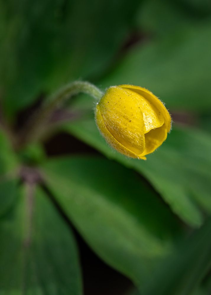 Photograph by Ирина Остапенко