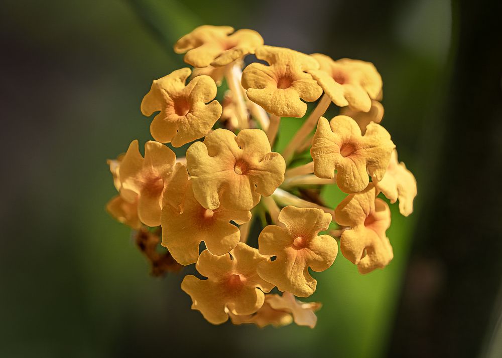 Photograph by Ирина Остапенко