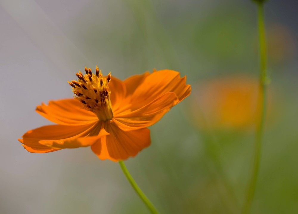 Photograph by Atila Y