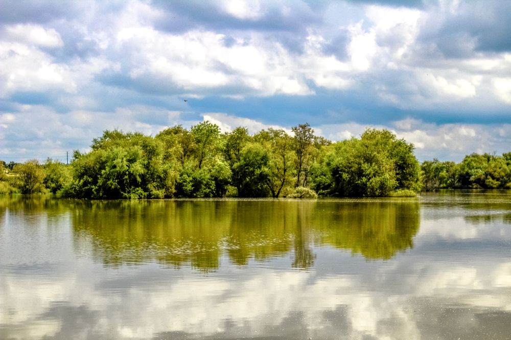 Photograph by JORGE DORANTES