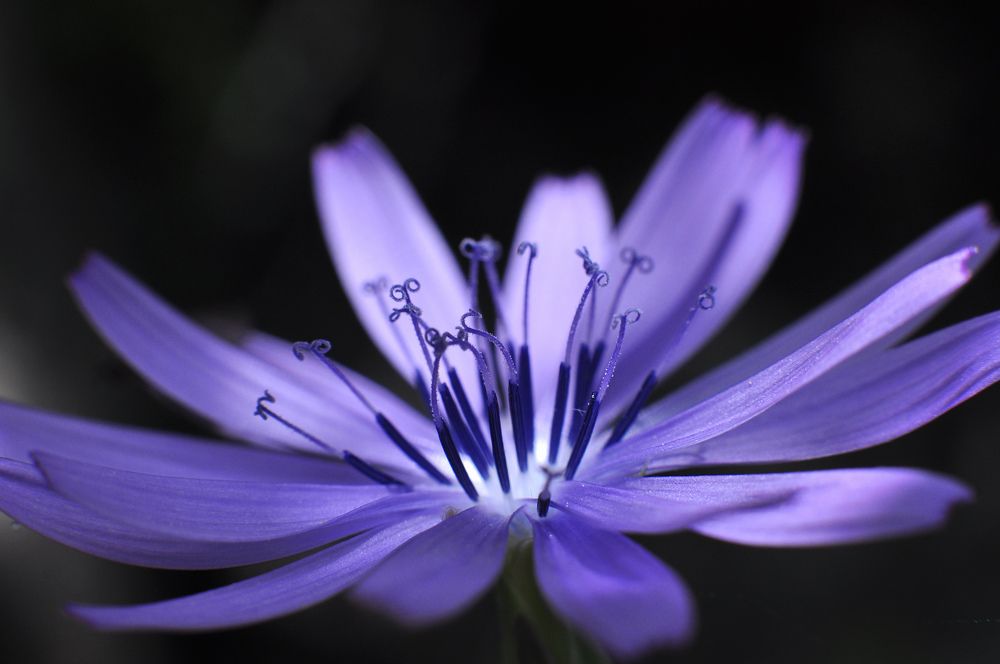 Photograph by Svetlana Rizzo