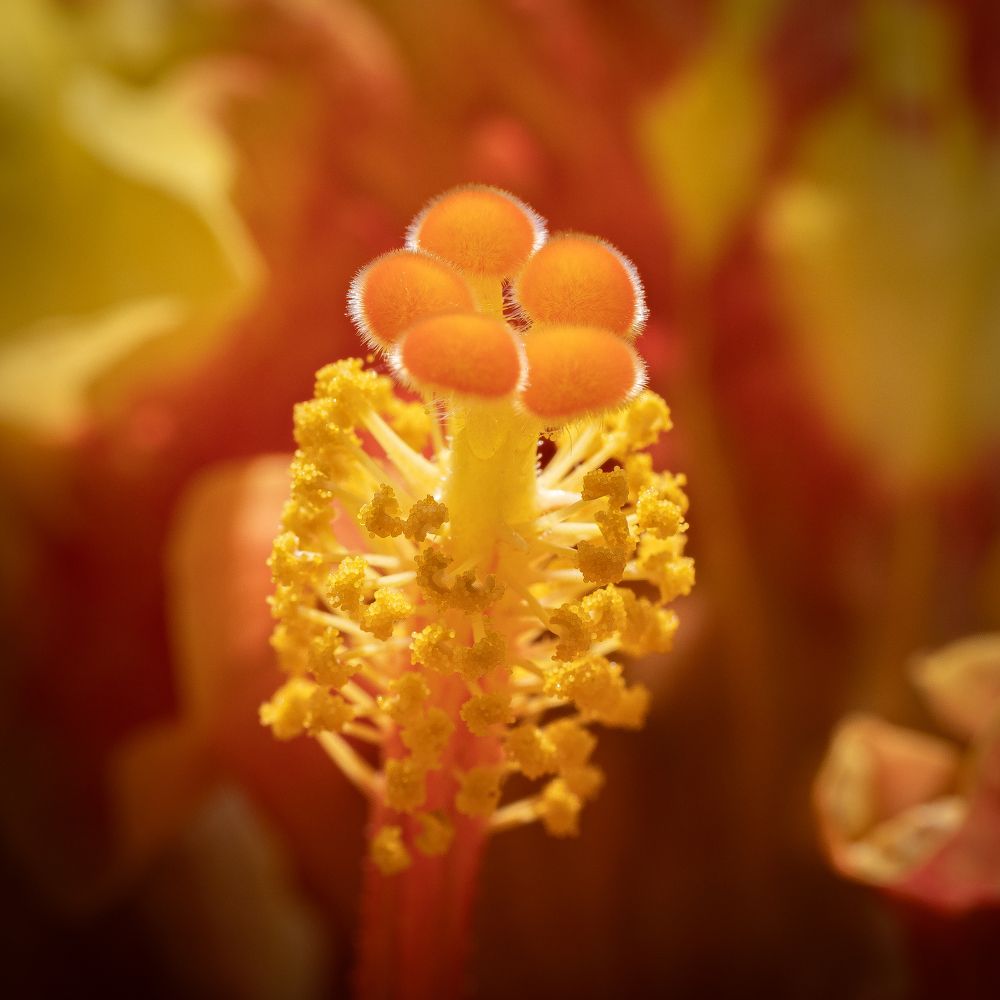 Photograph by Алексей Афанасьев