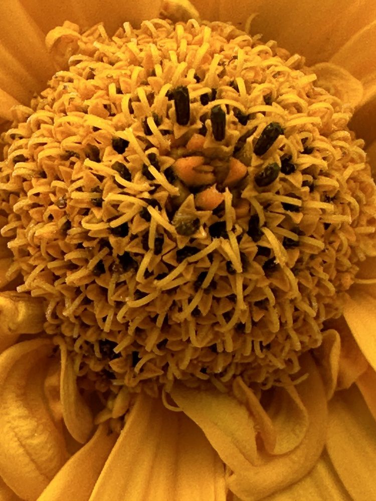 Photograph by Наумова Татьяна