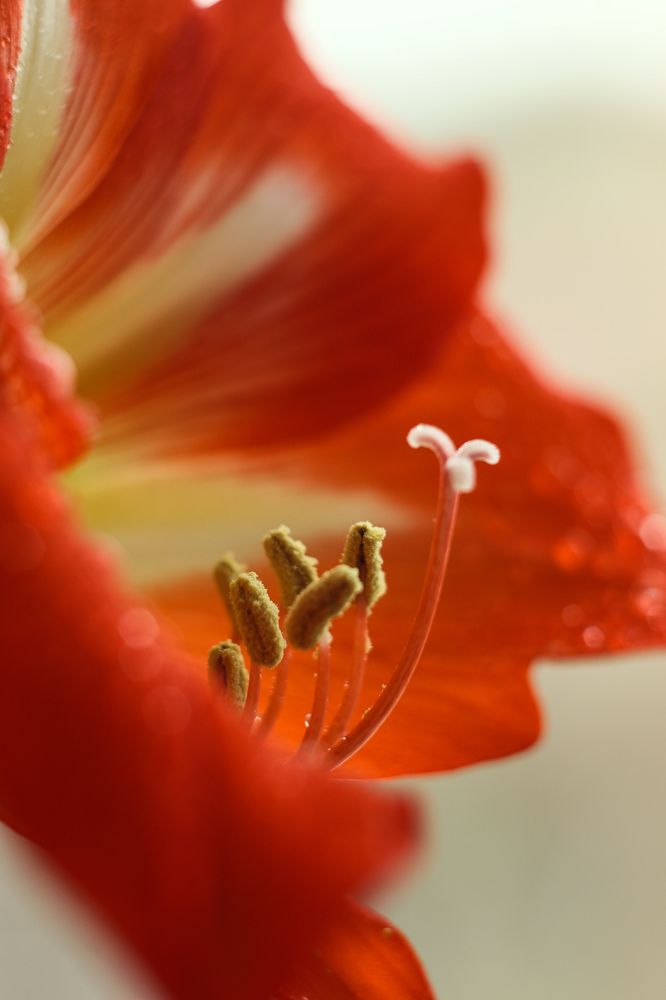 Photograph by Елена Квасова