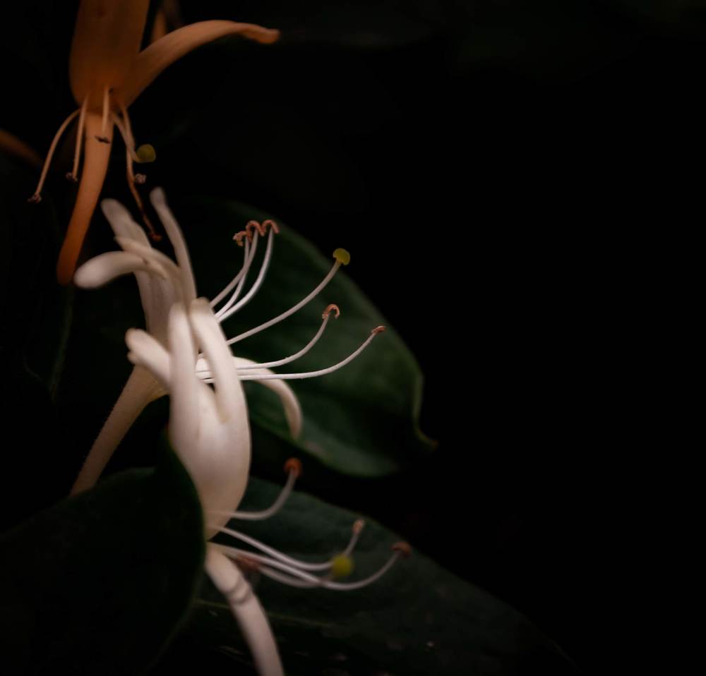 Photograph by Silvina Sánchez