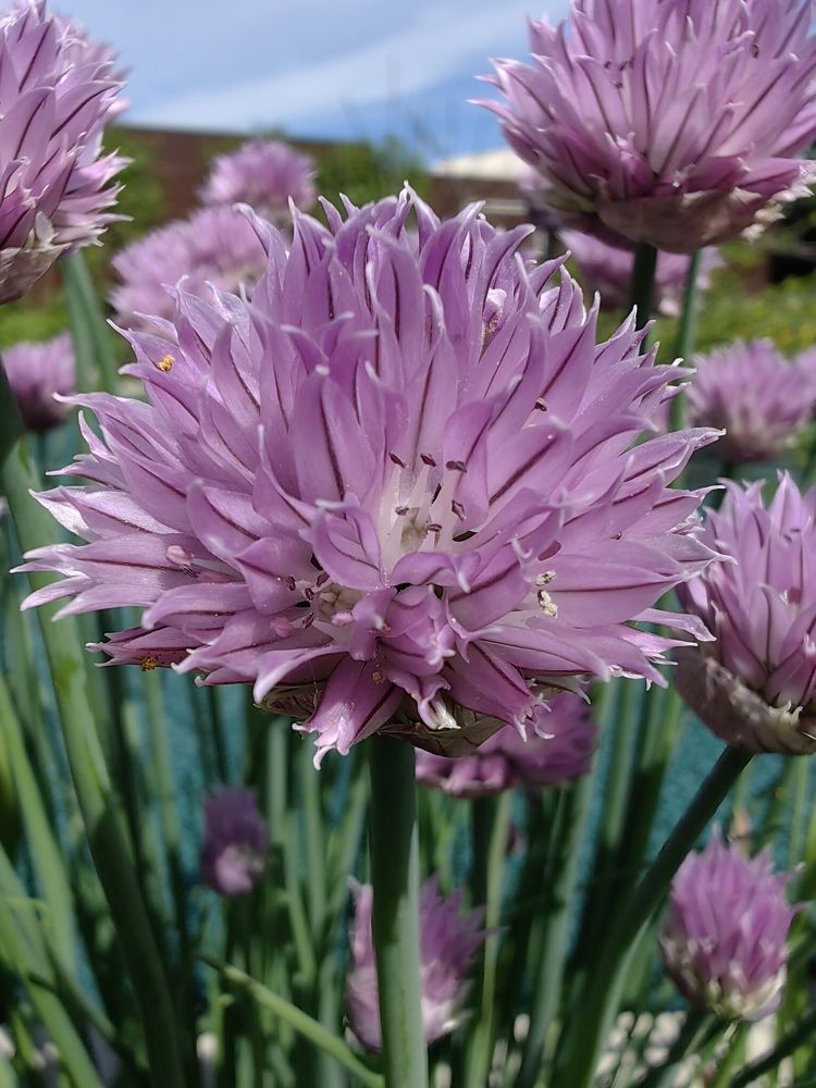 Photograph by Людмила Савчук