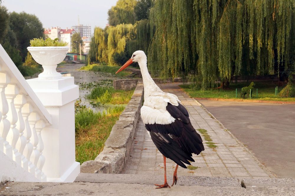 Photograph by Danyliuk Ruslan