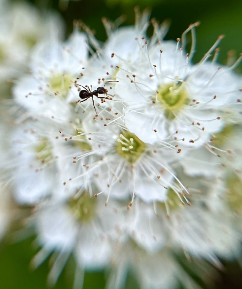 Photograph by Ксения Гулькова